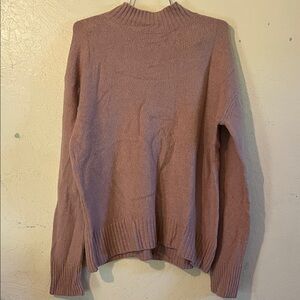 Everlane Rose Turtleneck Sweater